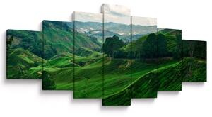 Obraz - Čajové plantáže v Malajsii (210x100 cm)