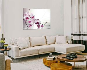 Obraz na plátně Květy orchideje