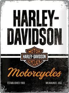Plechová cedule Harley-Davidson - Motorcycles, (30 x 40 cm)