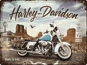 Plechová cedule Harley-Davidson - King of Route 66, (40 x 30 cm)