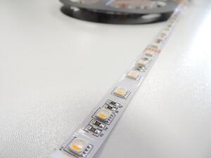 RGBW LED pásek 4v1, 19,2W/m, RGB+bílá, 12mm, PROFI, 12V, IP20, 60LED/m, 5050