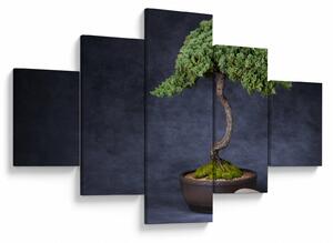 Obraz - Bonsai (125x70 cm)