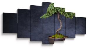 Obraz - Bonsai (210x100 cm)
