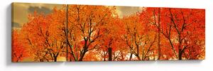 Obraz - Podzim (170x50 cm)