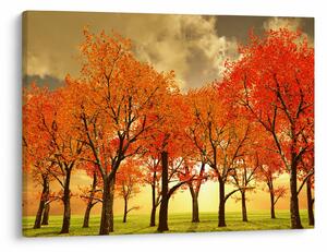 Obraz - Podzim (70x50 cm)