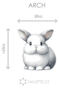Bílý králík arch 41 x 45 cm