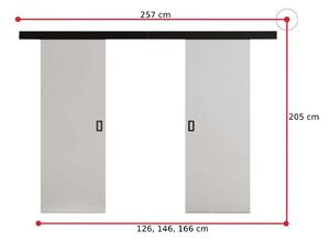 Posuvné dveře CABANA DUO + Tichý dojezd, 166x205x1,6, bílá