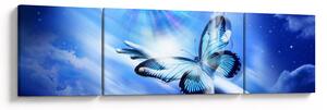 Obraz - Motýl, symbol naděje (170x50 cm)