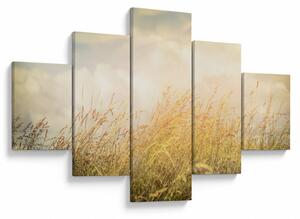Obraz - Pole na podzim (125x70 cm)