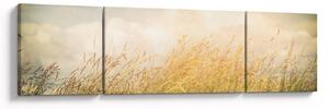 Obraz - Pole na podzim (170x50 cm)