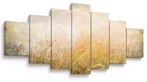 Obraz - Pole na podzim (210x100 cm)