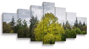 Obraz zeleného stromu uprostřed pole (210x100 cm)