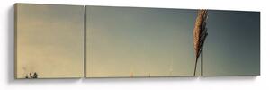 Obraz s trávou (170x50 cm)