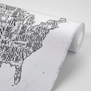 Tapeta šedá mapa USA s jednotlivými státy