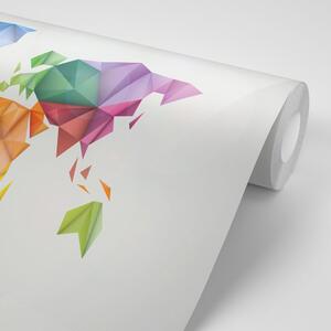 Tapeta barevná mapa světa ve stylu origami