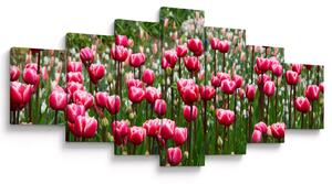 Obraz tulipánů (210x100 cm)