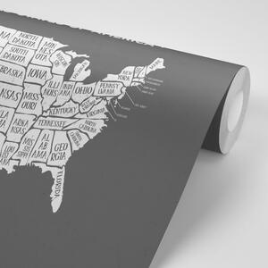 Tapeta naučná mapa USA v černobílém