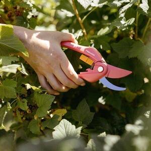 Inspiration™ Ruby Zahradní nůžky dvoučepelové FISKARS 1003657