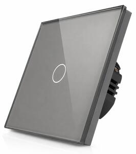 Skleněný dotykový vypínač R-T601-GR