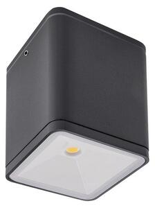 REDO 9198 BETA stropní exteriérové ​​svítidlo LED 1 x 6W 580lm IP54 3000K