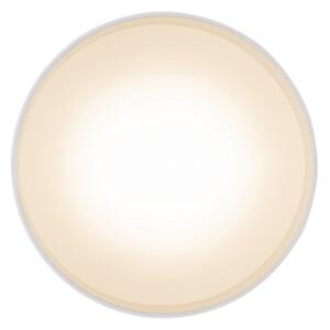 Globo 12016W - LED Stropní svítidlo JENNY LED/16W/230V