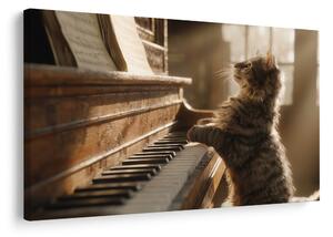Obraz kočka a piano