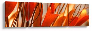 Obraz okvětních lístků (170x50 cm)