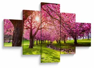 Obraz rozkvetlých třešní, Hurd Park, Dover, New Jersey (125x70 cm)