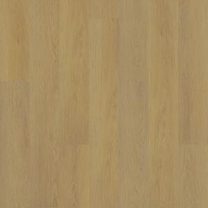 Vinylová plovoucí podlaha Area Floors Wood Click Rigid 5305 Dub solid 2,503 m²