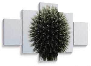 Obraz květinové koule (125x70 cm)