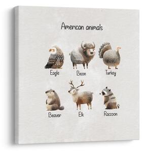 Obraz ilustrace amerických zvířat