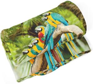 IMPAR Fleecová deka Papoušci 150x120 cm (Rozměr : 200 x 140 cm)