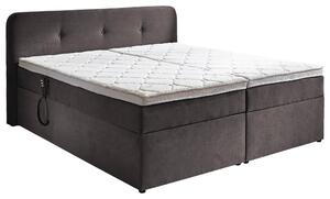 POSTEL BOXSPRING, 180/200 cm, šedá Carryhome - Postele s úložným prostorem, Online Only