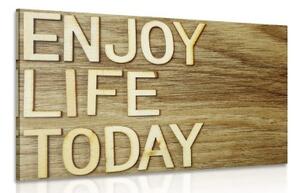 Obraz s citací - Enjoy life today - 60x40 cm