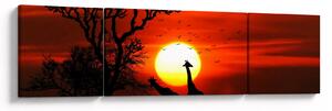 Obraz - Siluety zvířat při západu slunce (170x50 cm)