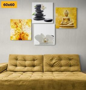 Set obrazů Feng Shui v bílo-žlutém provedení - 4x 40x40 cm