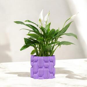 Plantbee Květináč Elgus 12cm levandulová