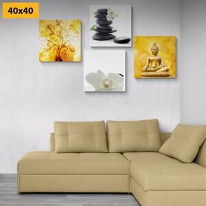 Set obrazů Feng Shui v bílo-žlutém provedení - 4x 40x40 cm