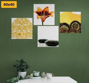 Set obrazů Feng Shui kombinace - 4x 40x40 cm