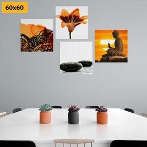 Set obrazů Feng Shui v jedinečném stylu - 4x 40x40 cm