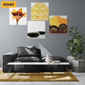 Set obrazů Feng Shui kombinace - 4x 40x40 cm