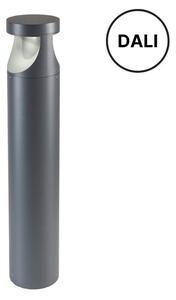 REDO 90503-DALI XWALK venkovní stojanové svítidlo/sloupek SMD LED V800mm 24W 3280/2338lm 3000K IP65 tmavě šedá