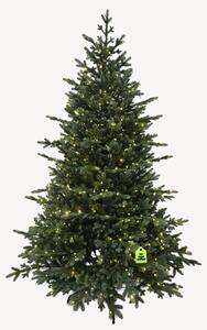 Smrk Exclusive 100 % 300 LED 150 cm