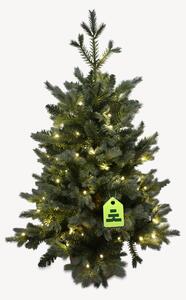 Smrk Modrý 100 LED 90 cm