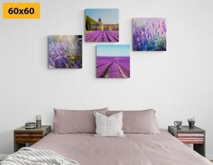 Set obrazů pro milovníky levandule - 4x 40x40 cm