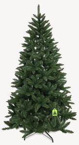 Smrk Kanadský 150 cm