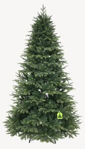 Smrk Himalájský 150 cm