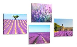 Set obrazů levandulové pole - 4x 40x40 cm