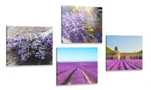 Set obrazů krásná levandule - 4x 40x40 cm