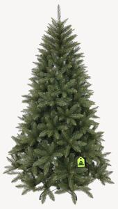 Smrk Kavkazský 150 cm